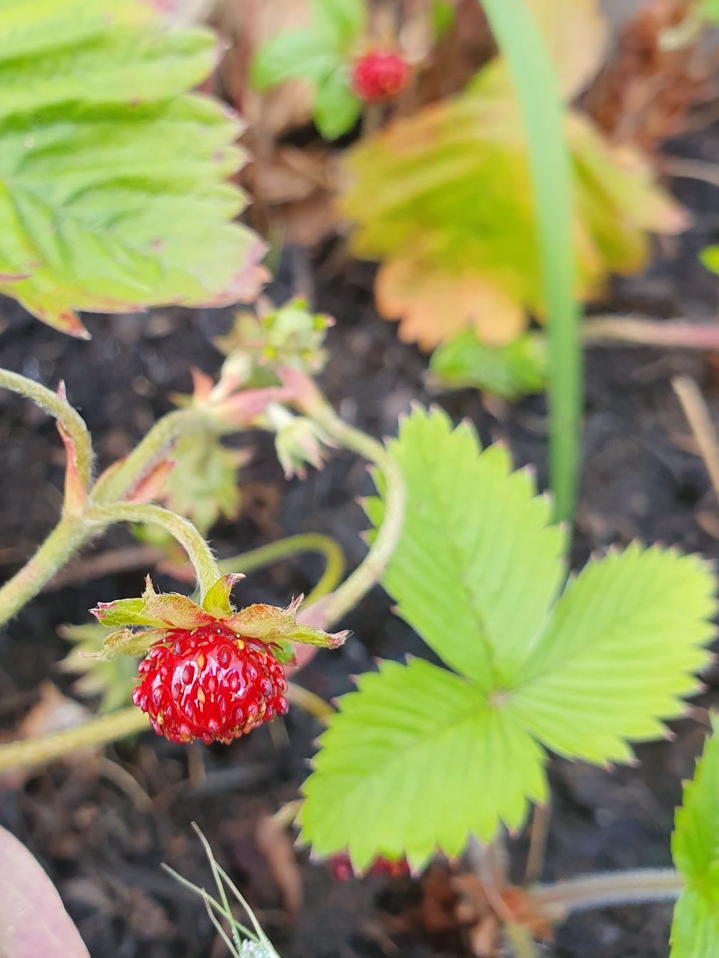 20240616_0932015531320983746998620